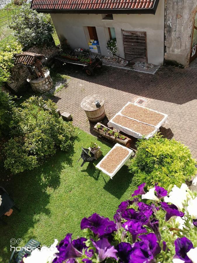 Agriturismo Antica Pieve Limana Dış mekan fotoğraf